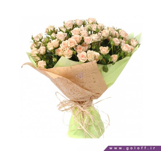 دسته گل رز مینیاتوری کابرین - Cebrian | گل آف